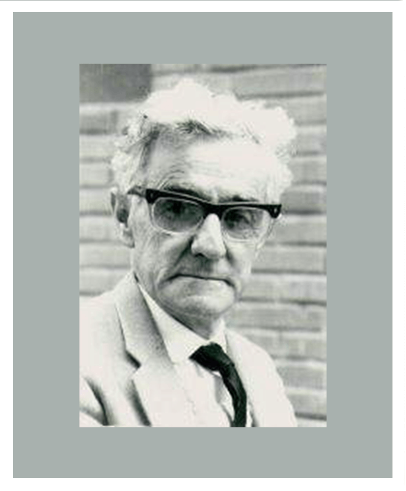 Theodoro D Bona